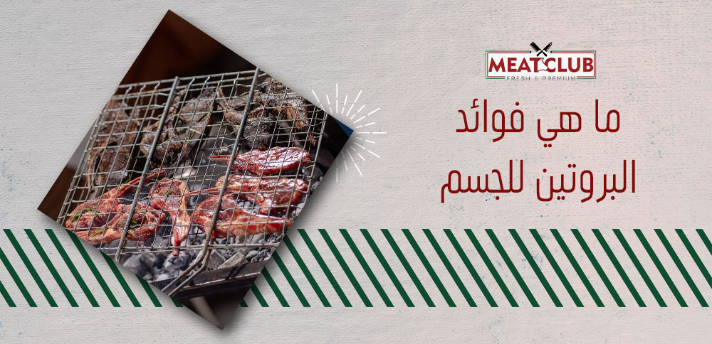 ما هي فوائد البروتين للجسم